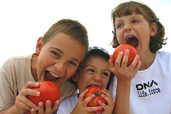 Our Produce